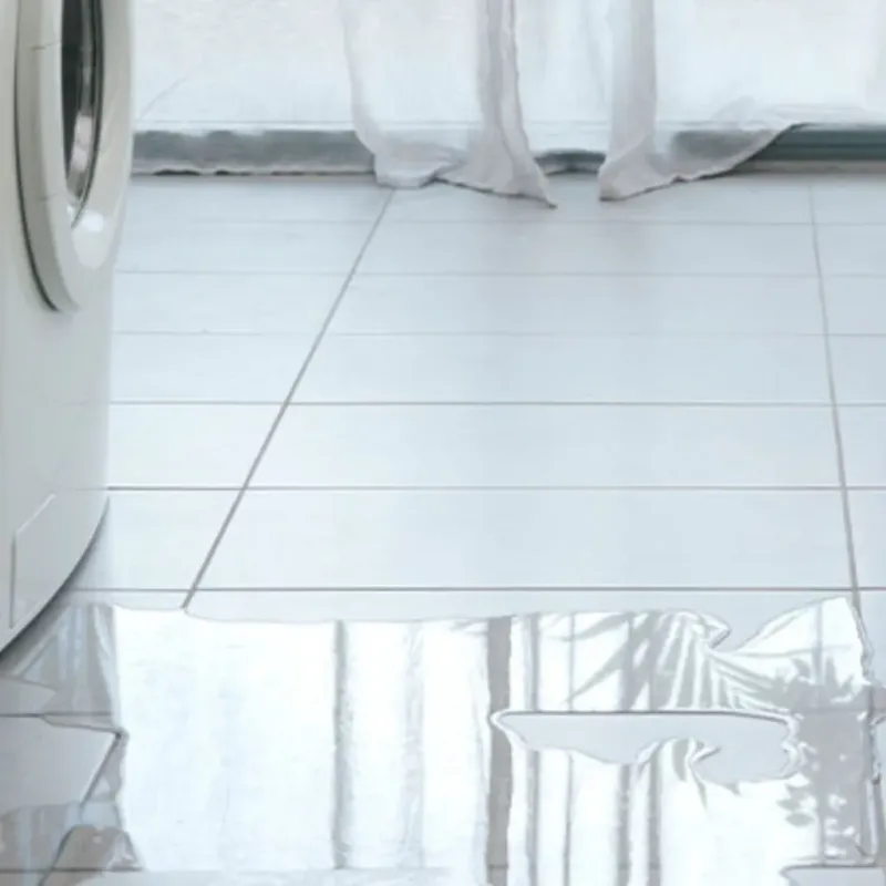 Appliance Leak Cleanup in Dimondale, MI