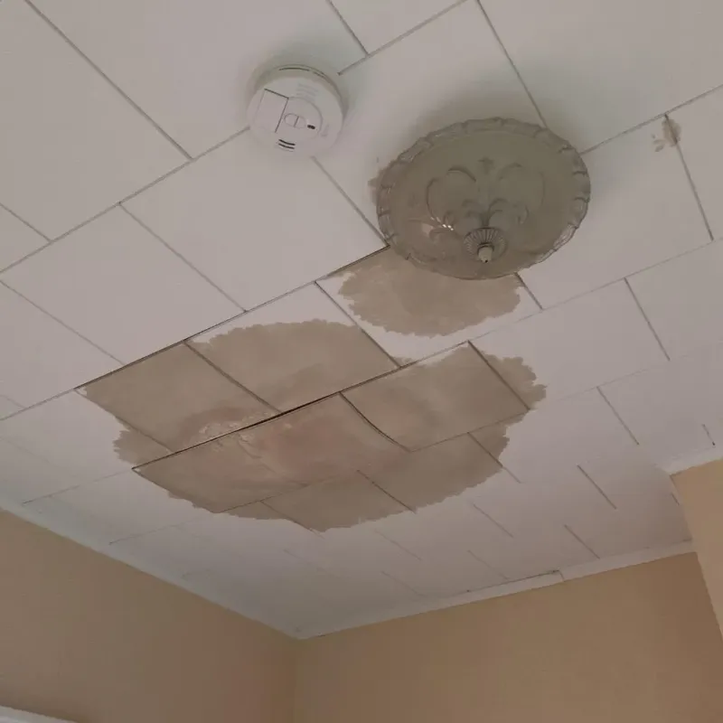 Ceiling Water Damage Repair in Dimondale, MI