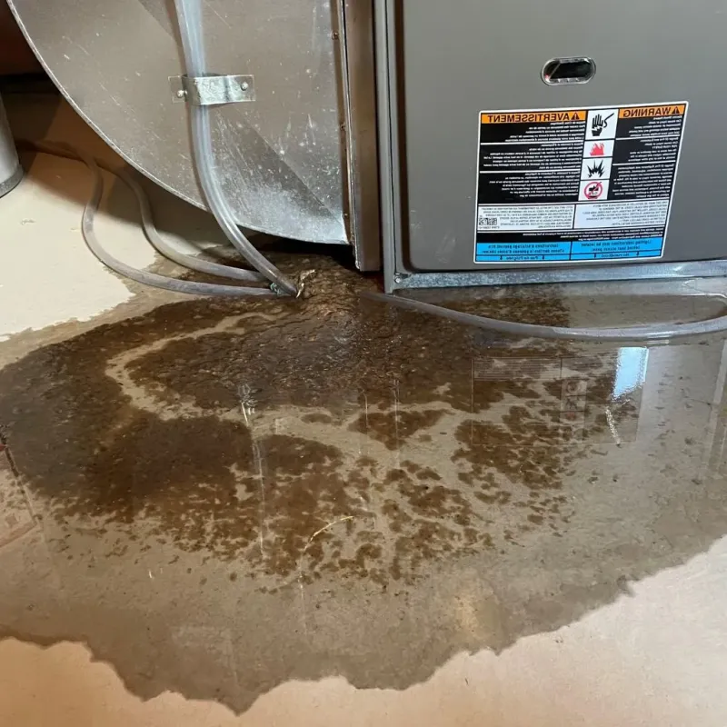 Pipe Burst and Leak Restoration in Dimondale, MI